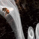 Image for article titled This Is One Of The Best Months Ever For Science Fiction & Fantasy Books